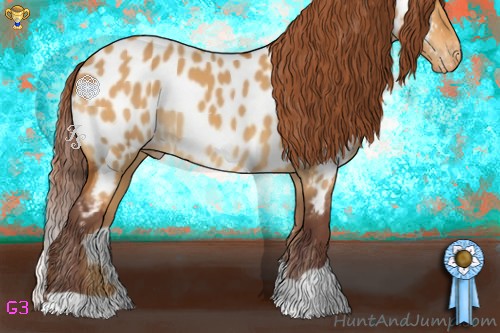 Horse Color:Chocolate Buckskin Dun Appaloosa 