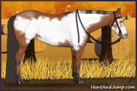 Horse Color:Brown Frame 