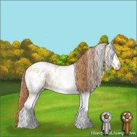 Horse Color:White Spotted Smoky Grullo Pearl Appaloosa 