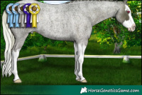 Horse Color:Silver Blue Chinchilla Roan Splash 