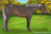 Horse Color:Silver Black 