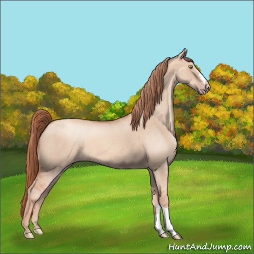 Horse Color:Gold Champagne Dun 
