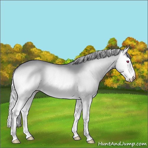 Horse Color:Silver Brown Chinchilla Onyx Splash