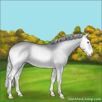 Horse Color:Silver Brown Chinchilla Onyx Splash 