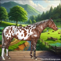 Horse Color:Silver Brown Near Leopard