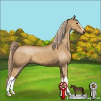 Horse Color:Palomino
