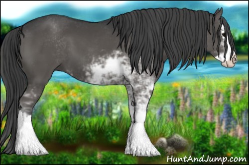 Horse Color:Black Sabino Splash