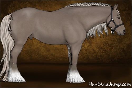 Horse Color:Silver Blue Roan Sabino
