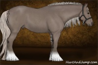 Horse Color:Silver Blue Roan Sabino