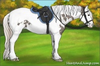Horse Color:White Spotted Silver Black Splash Tobiano 