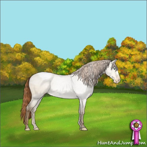 Horse Color:Amber Cream Champagne Dun Appaloosa