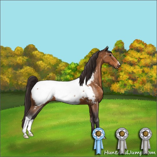 Horse Color:Buckskin Near Fewspot 