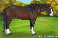 Horse Color:Brown Sabino Splash