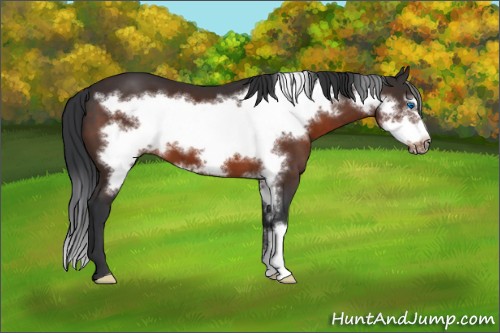 Horse Color:Brown Frame 
