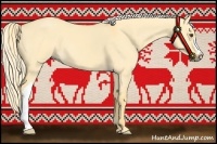 Horse Color:Palomino Dun 