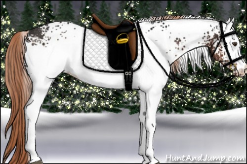 Horse Color:White Spotted Liver Chestnut Rabicano 