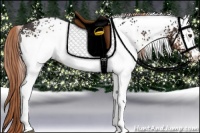 Horse Color:White Spotted Liver Chestnut Rabicano