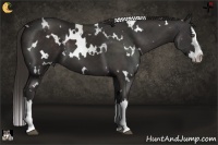 Horse Color:White Spotted Liver Chestnut Splash 