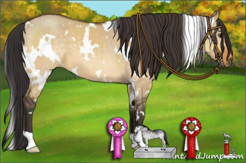 Horse Color:White Spotted Buckskin Dun 