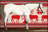 Horse Color:Buckskin Appaloosa 