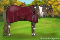Horse Color:White Spotted Chocolate Palomino