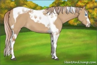 Horse Color:Red Dun Splash Tobiano