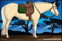 Horse Color:Palomino Dun 