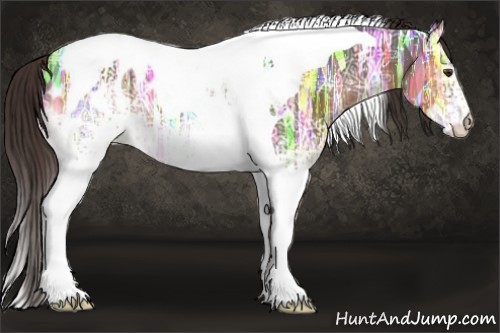 Horse Color:White Spotted Liver Chestnut Ice Tobiano Appaloosa 
