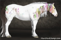 Horse Color:White Spotted Liver Chestnut Ice Tobiano Blanket