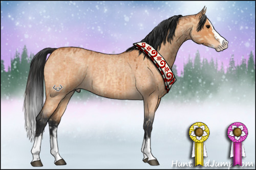 Horse Color:Bay Roan Dun Splash Brindle  and Bay Roan Splash 