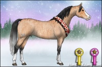 Horse Color:Bay Roan Dun Splash Brindle and Bay Roan Splash