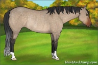 Horse Color:Brown Dun Rabicano 
