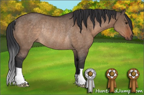 Horse Color:Brown Dun Rabicano 