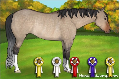 Horse Color:Brown Dun Rabicano 