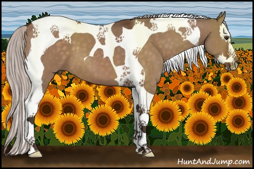 Horse Color:Silver Bay Dun Splash Tobiano