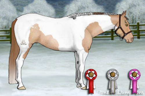 Horse Color:Brown Pearl Tobiano Rabicano