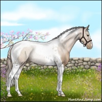 Horse Color:Black Pearl Tobiano Rabicano 