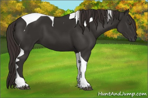 Horse Color:Liver Chestnut Tobiano 