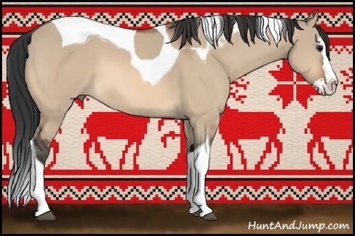 Horse Color:Bay Dun Splash Tobiano