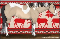 Horse Color:Bay Dun Splash Tobiano 