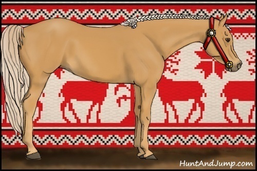 Horse Color:Palomino