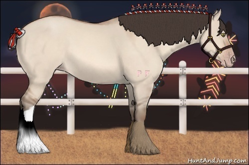 Horse Color:Amber Champagne Dun 