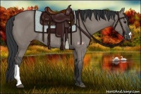 Horse Color:Grullo Rabicano 