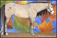 Horse Color:Amber Champagne Ice Dun Splash 