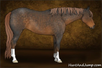 Horse Color:Gray Chocolate Palomino Roan 