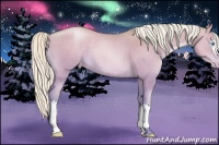 Horse Color:Platinum Watercolor White Spotted Silver Buckskin Pearl Dun Appaloosa 