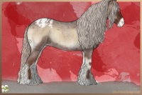 Horse Color:Silver Blue Onyx Roan Varnish 