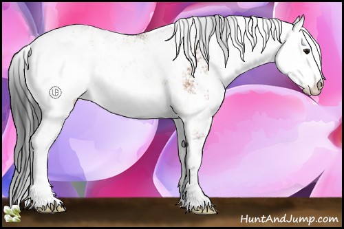 Horse Color:Bay Sabino 
