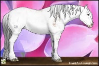 Horse Color:Bay Sabino 