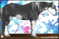 Horse Color:Black Sabino